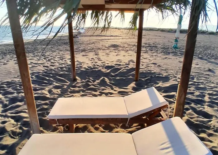 Lumiere House 펜션 *